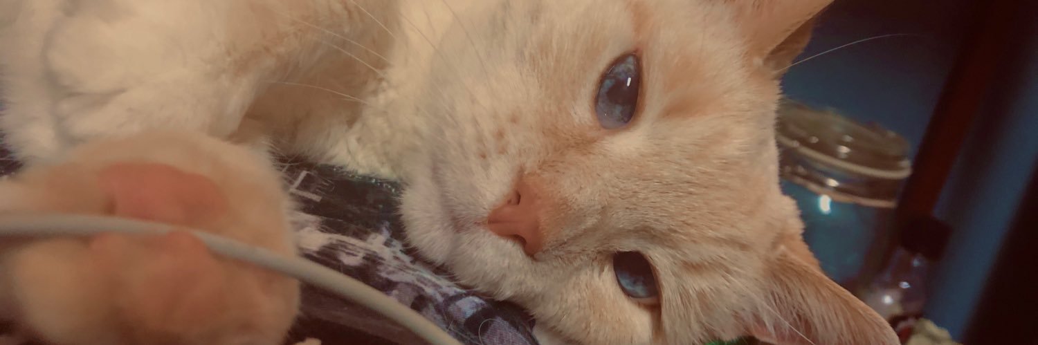 FreyedChicken's profile banner image