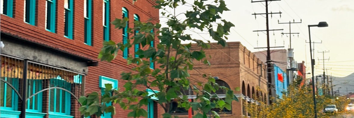 adilenetaddei's profile banner image