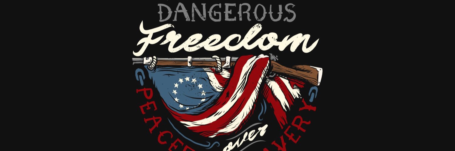 🗽🗽🇺🇸LibertyJedi🇺🇸🗽🗽's banner