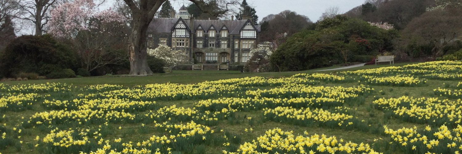 Elizabeth J Duncan banner