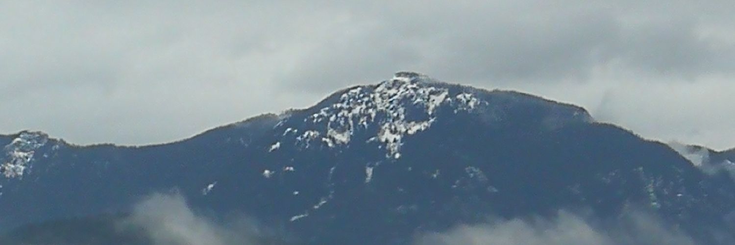 UncleSaminBC's profile banner image