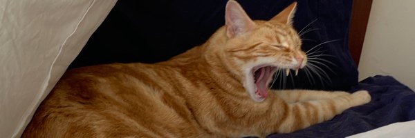 maxbledstein Profile Banner