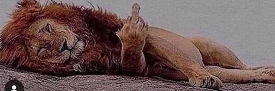 Victor Goldwater banner