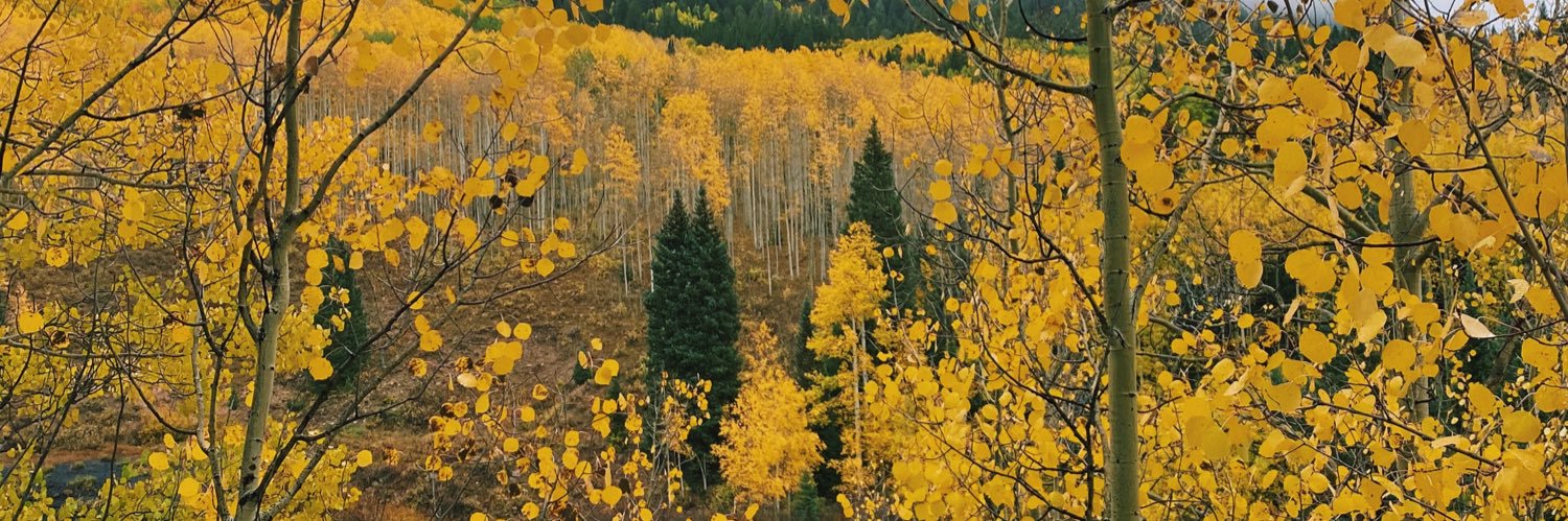 tayloreelowry's profile banner image