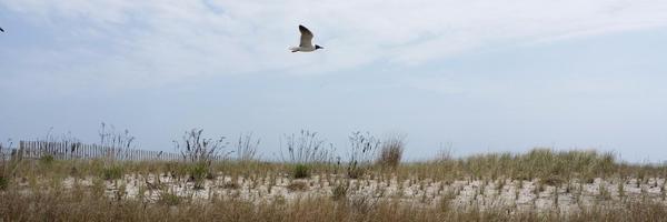 seasonsofphilly Profile Banner