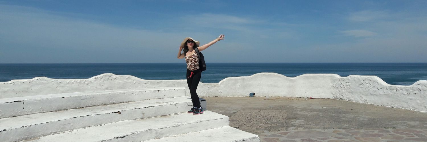 melipuccinelli's profile banner image