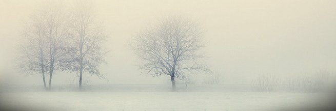 mamal.lens (Ø,G) banner