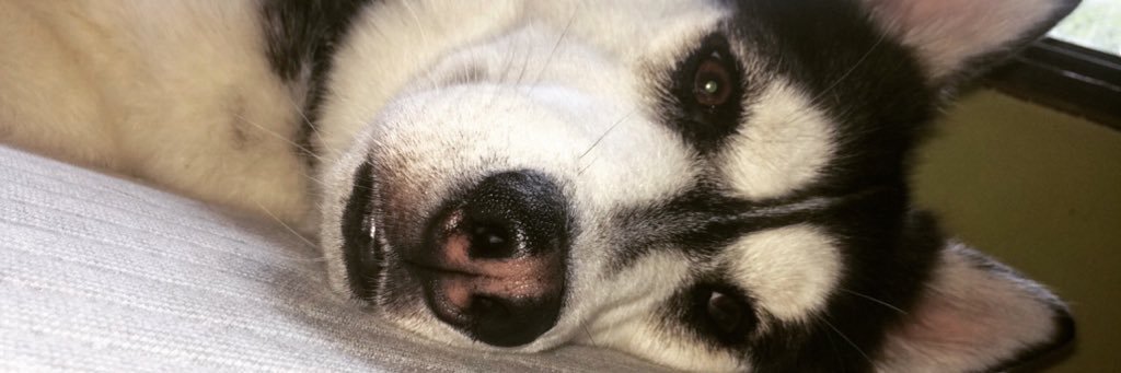 Serenity_Marr's profile banner image