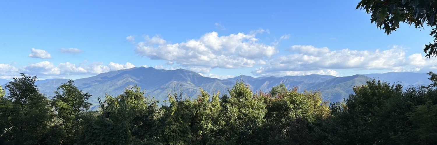YislenFelipes's profile banner image