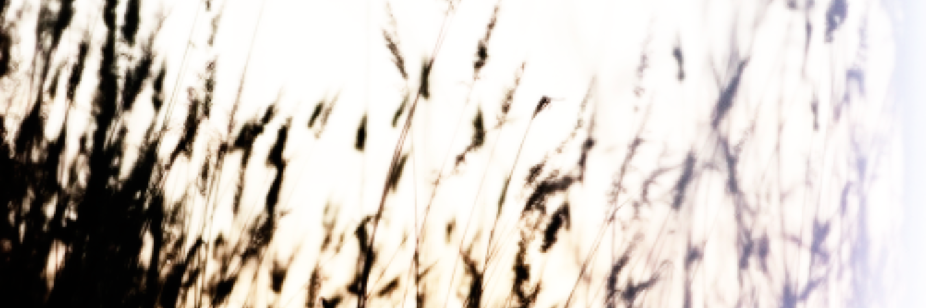 killerdeJames's profile banner image