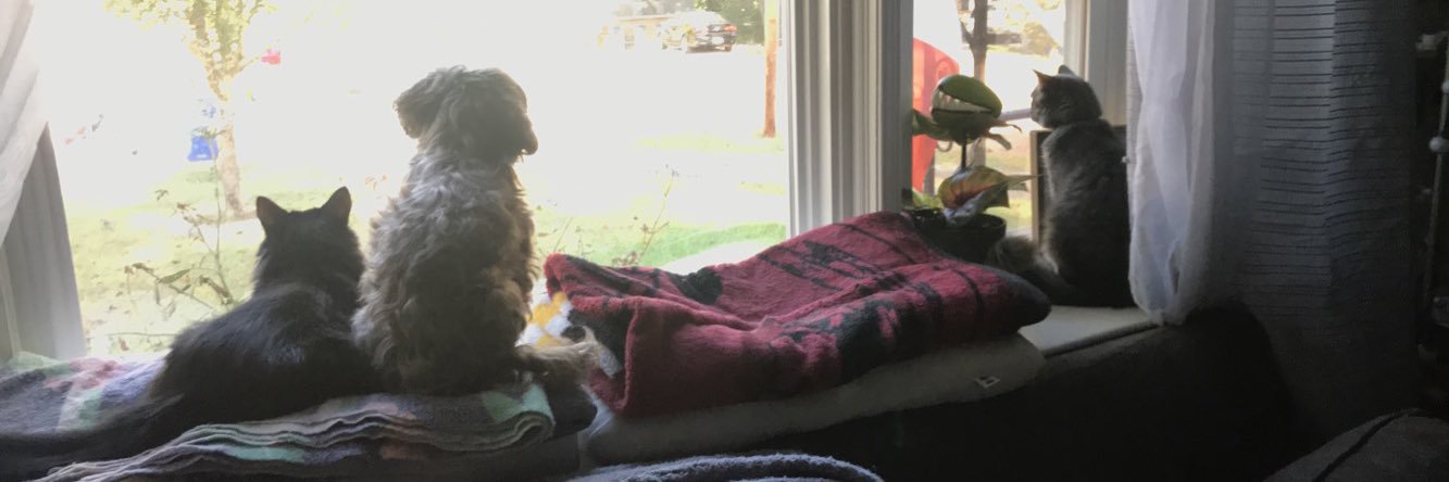 michelletyler93's profile banner image