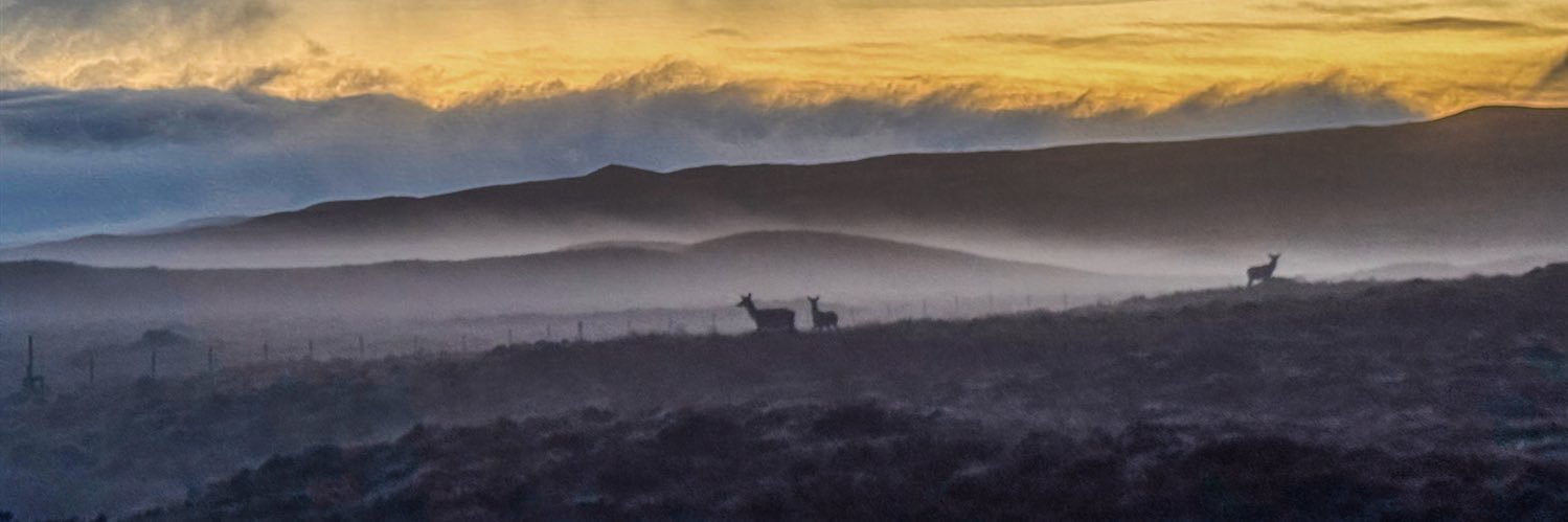 Luthers Volvo banner