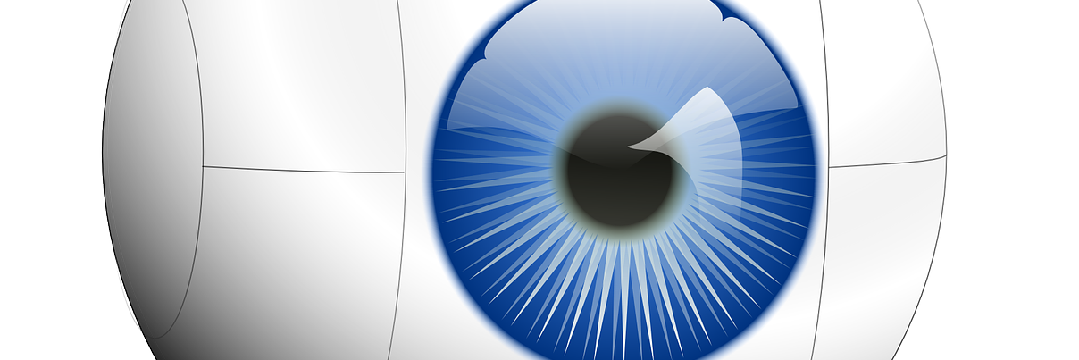 EducDiscVisual's profile banner image