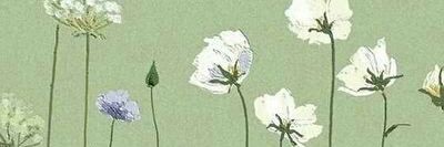 saegaa10's profile banner image