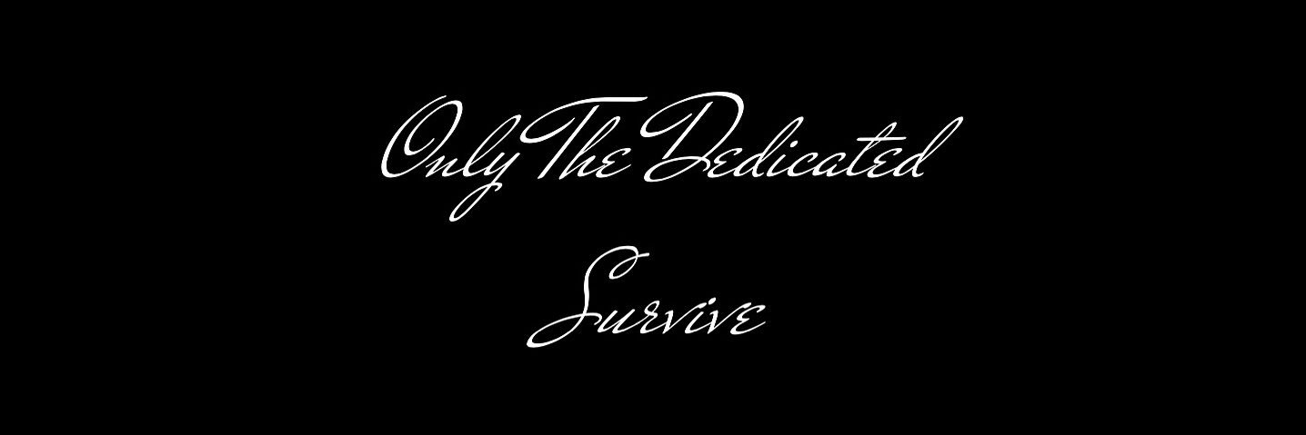 dsorseedef's profile banner image