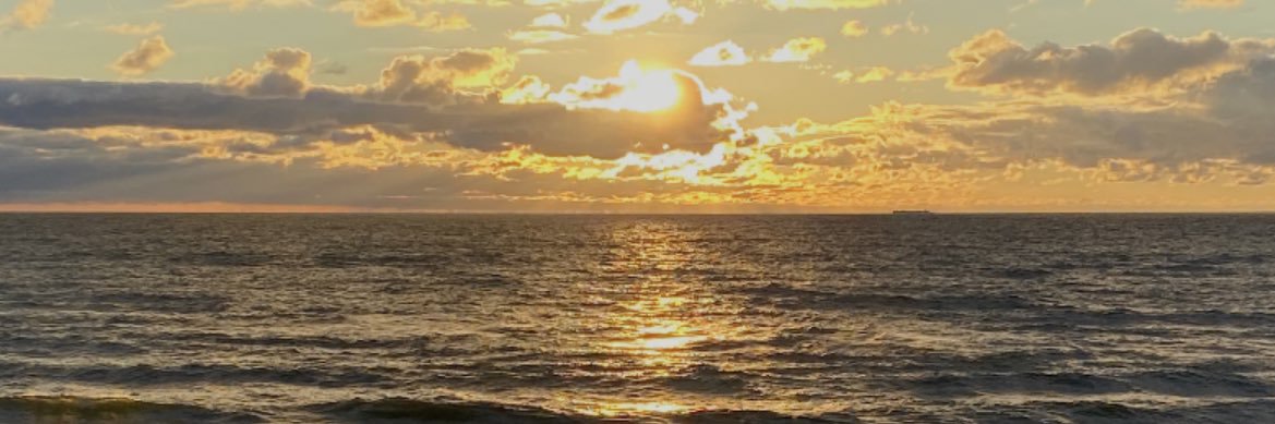 _Toph_'s profile banner image