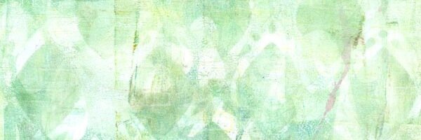 slove721's profile banner image