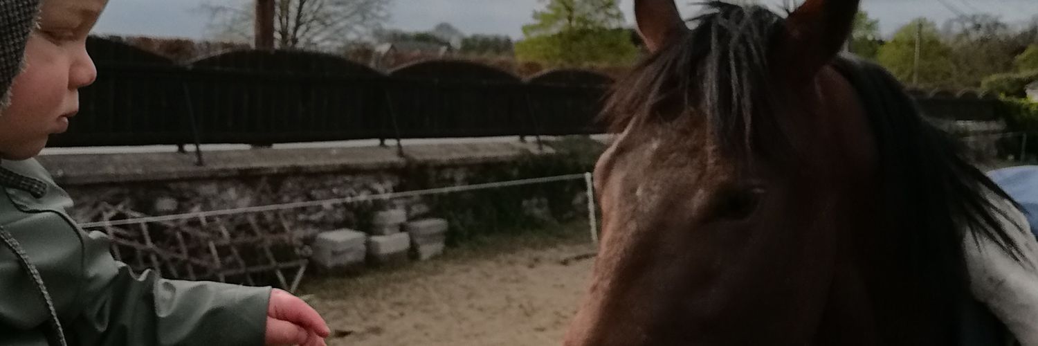 bennyokane's profile banner image