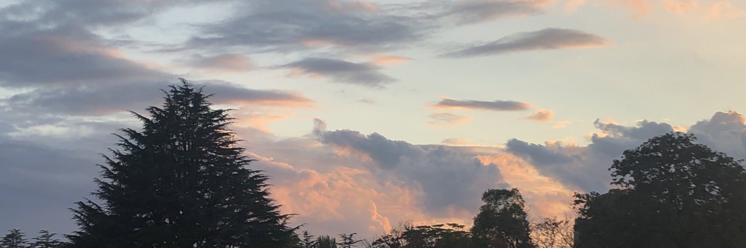 houran96's profile banner image