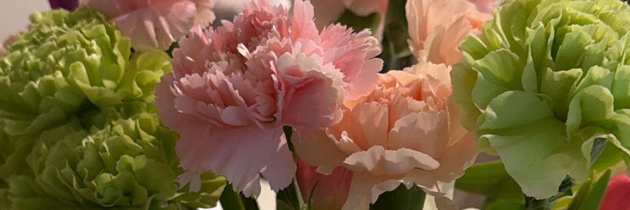 goyitta🦋 banner