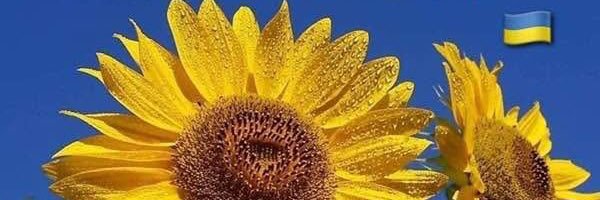 OneillCarter's profile banner image