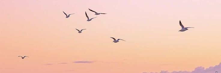 ru_tyna's profile banner image
