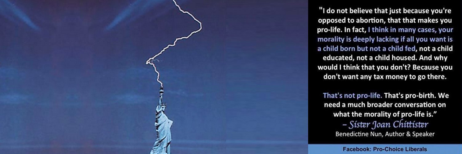 LiberalLynn's profile banner image