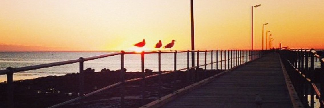 Copper Coast banner