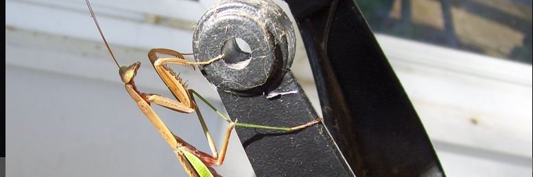 Party of Fear banner