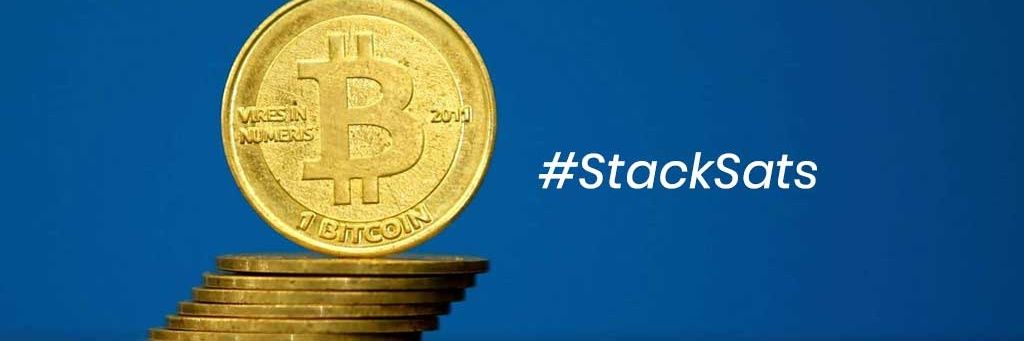 DrCactus.HODL 🌵₿ banner