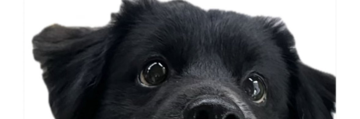 shiegnb's profile banner image