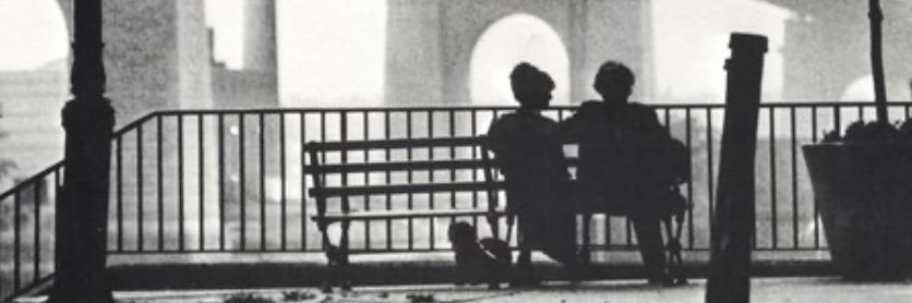 Dani de Castro banner
