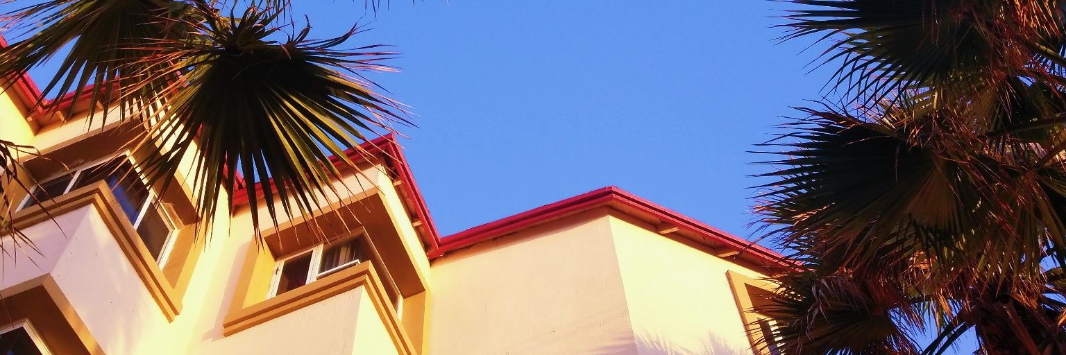ale⭐️ banner