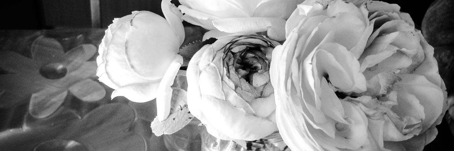 ecampanario's profile banner image
