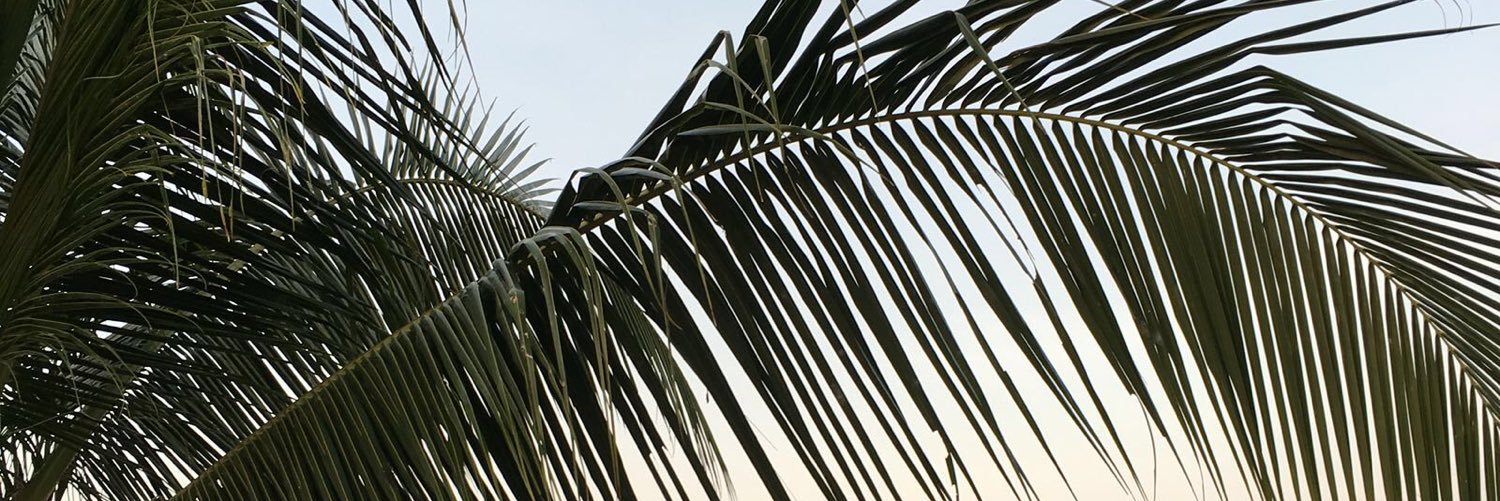 cohen_romy's profile banner image
