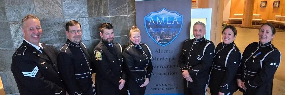 amea2014's profile banner image