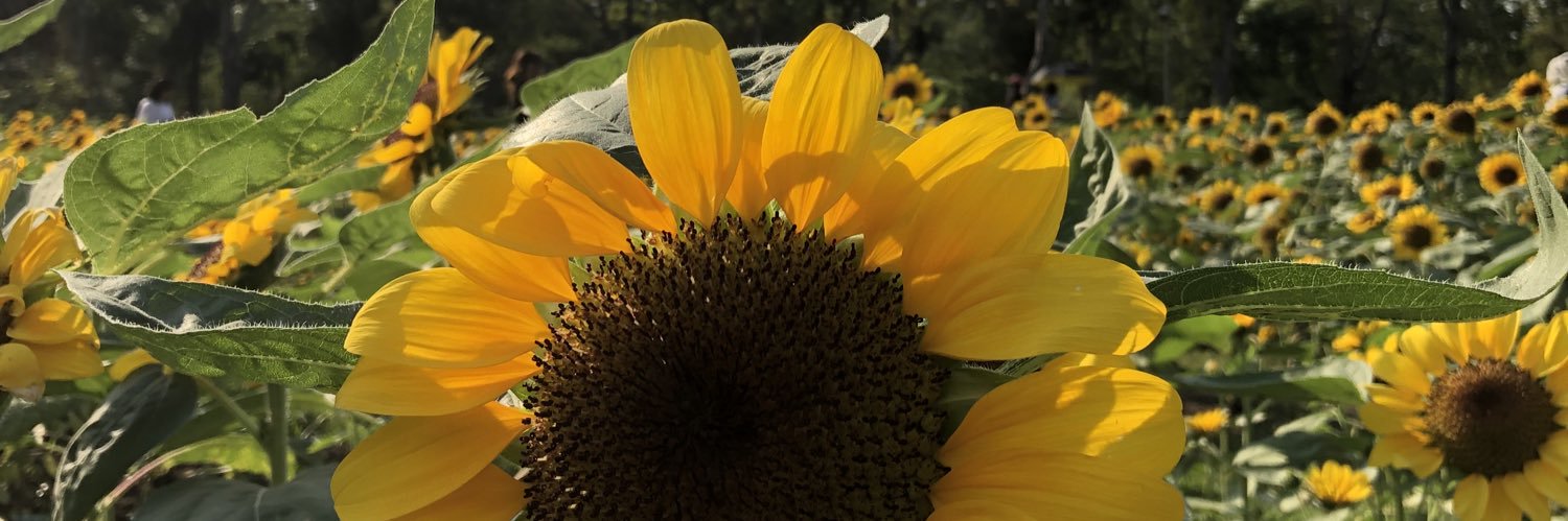 manapichat's profile banner image