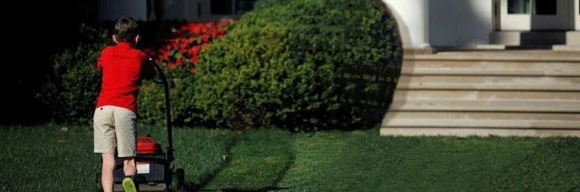 funnyuserid's profile banner image