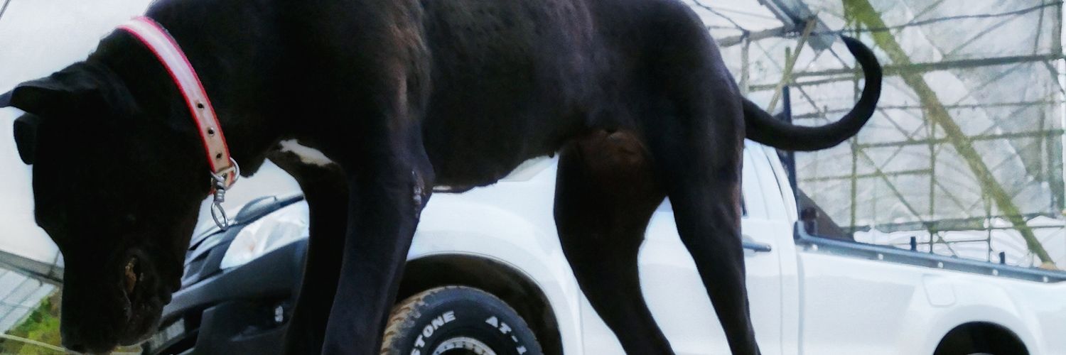 devacj7's profile banner image