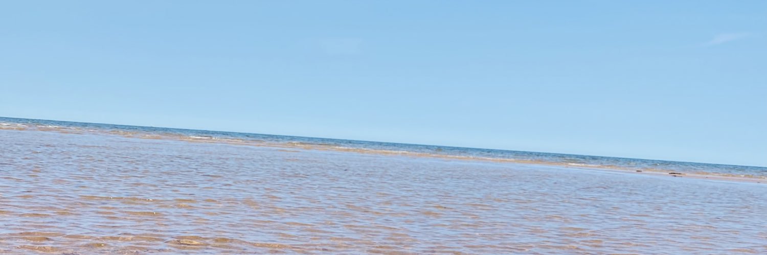 AshPLawrence's profile banner image