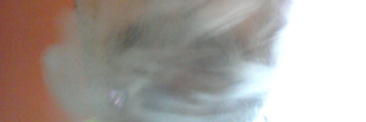 smofunking's profile banner image