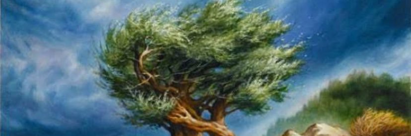 Vera Baboun banner