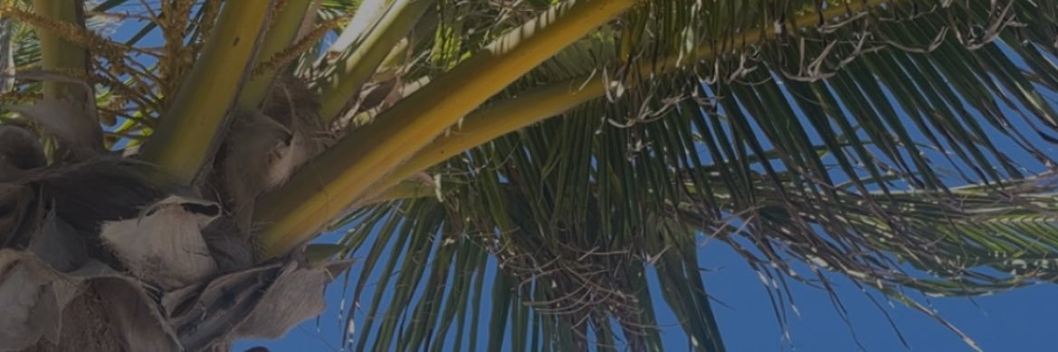 Brooke_Colby's profile banner image