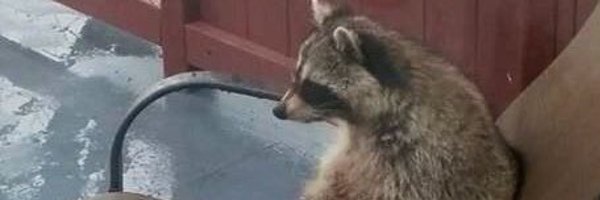 binny_uk Profile Banner