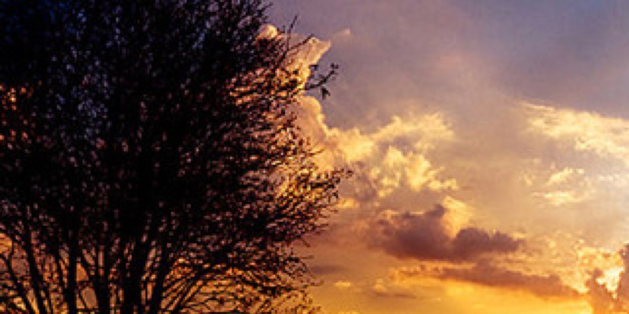 Aloooosh1419's profile banner image