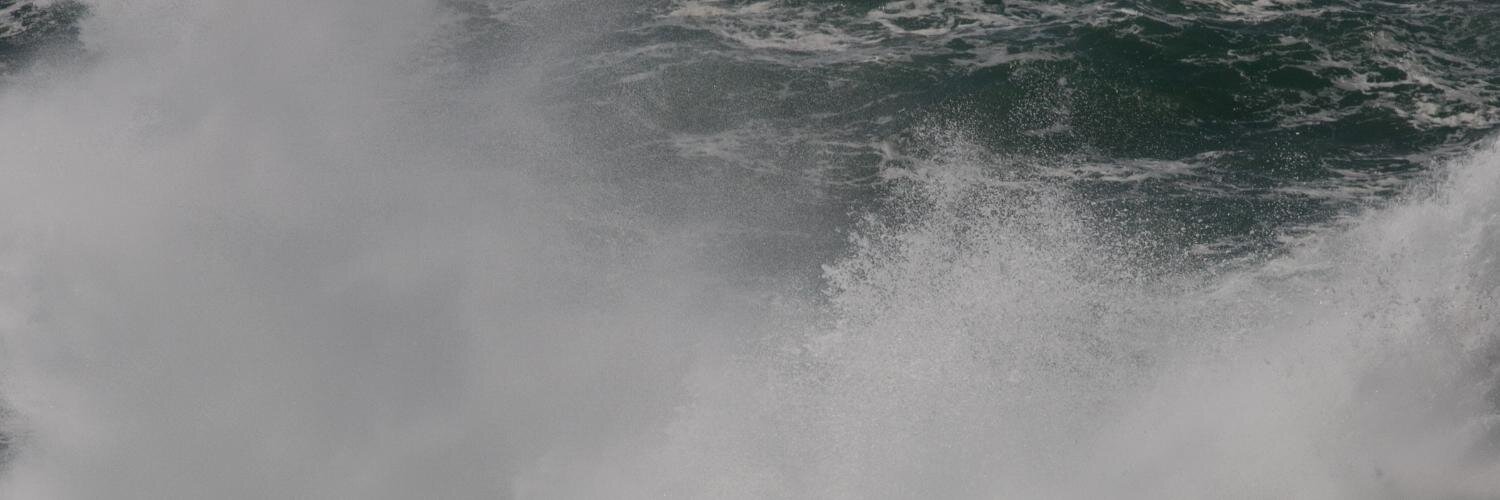 The Minion Postdoc banner