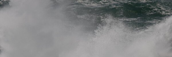 MinionPostDoc Profile Banner
