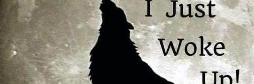 evolved_deb's profile banner image