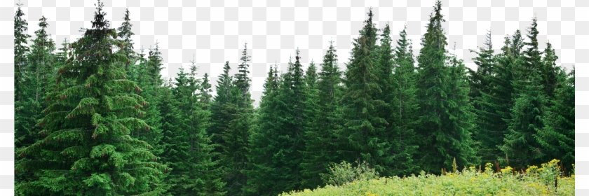 elenakex5's profile banner image