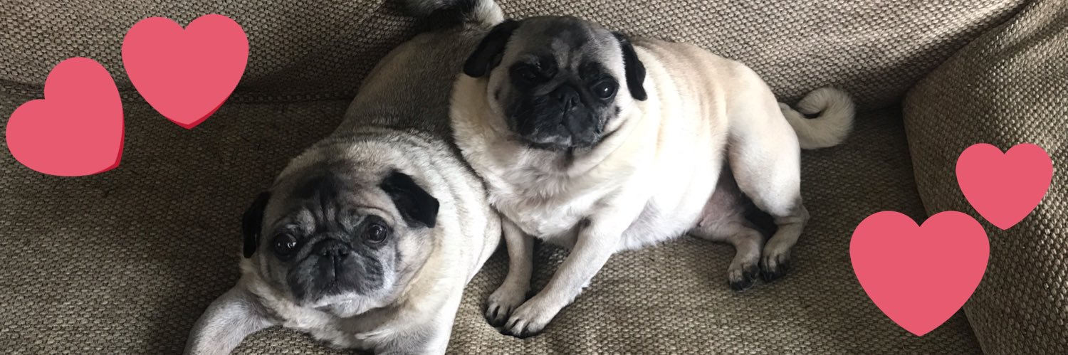 CharlieLangton2's profile banner image